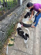 Animal Care Unit Project