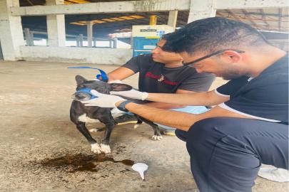 Animal Care Unit Project